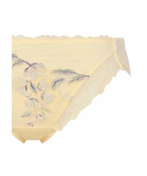 Triumph ショーツ レッドレーベル バイ トリンプ0118 レギュラーショーツ TR0118 Hikini - 画像 (7)