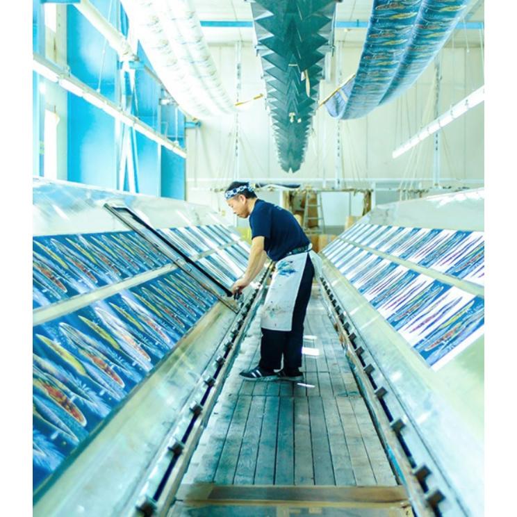 濱文様 絵手ぬぐい めでた午飾り 干支 お正月 冬 縁起 手拭い メール便対応 - 画像 (2)