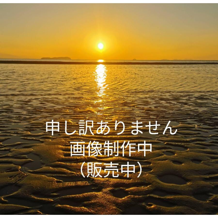 ドキュメント レインコート 東レエントラント使用 防水 透湿 軽量レインコート ピンク L