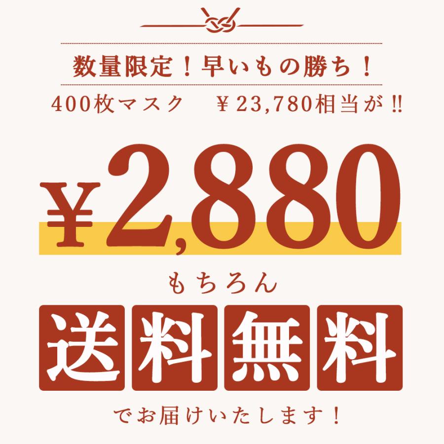 CICIBELLA 新春福袋 数量限定 マスク 不織布マスク 立体マスク 3Dマスク 立体バイカラーマスク 福袋26袋セット 高評価 血色 人気アイテム入り 大人気 春用 - 画像 (5)