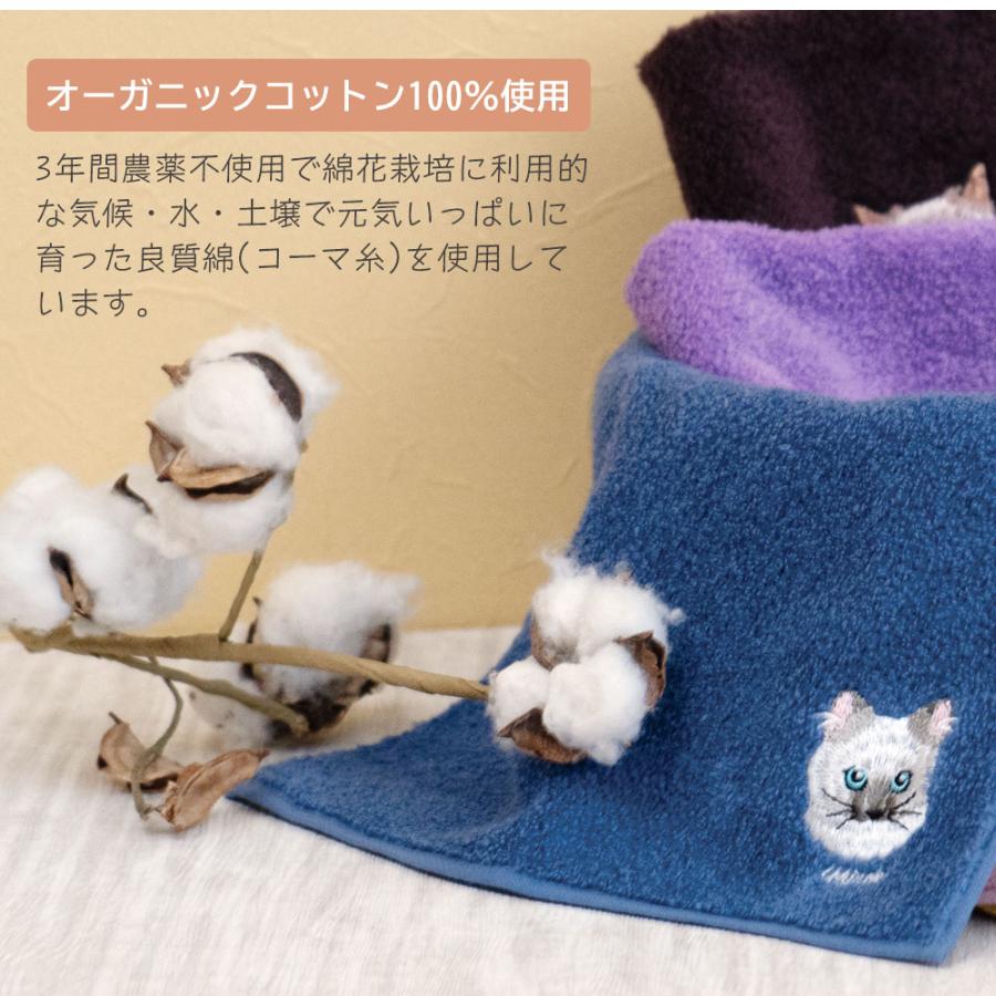 今治タオル タオルハンカチ 刺繍 猫 ハンカチ レディース プレゼント 花以外 女性 誕生日 お返し ハチワレ サバトラ ペルシャ猫 スコティッシュフィールド ソマリ - 画像 (5)