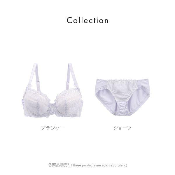 SHIROHATO ビューティーアシスト ふわもち触感やさしくフィットブラ ペアショーツ ノーマルショーツ M L LL Beauty Asist なめらか - 画像 (5)