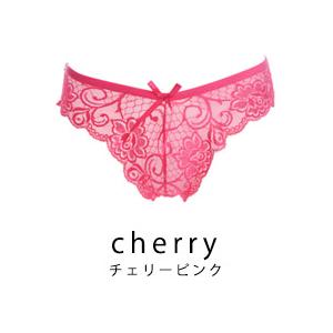 セクシーショーツ 総レース フルバック セクシーランジェリー シースルー 透け ショーツ単品 レディース 下着 過激下着 せくシ ランジェリー - 画像 (4)