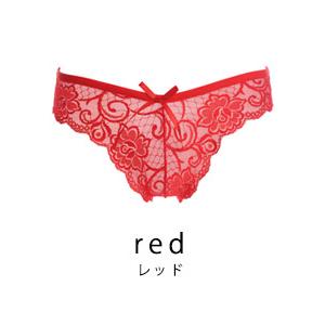 セクシーショーツ 総レース フルバック セクシーランジェリー シースルー 透け ショーツ単品 レディース 下着 過激下着 せくシ ランジェリー - 画像 (8)