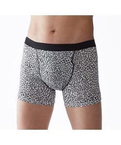 ふるさと納税 忠岡町 俺のボクサーパンツ ヒョウ柄 2枚組(LLサイズ)  軽失禁用 失禁パンツ・尿漏れパンツ